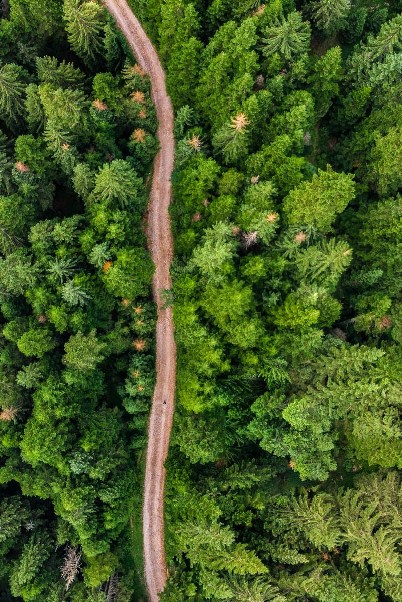 Sustainability