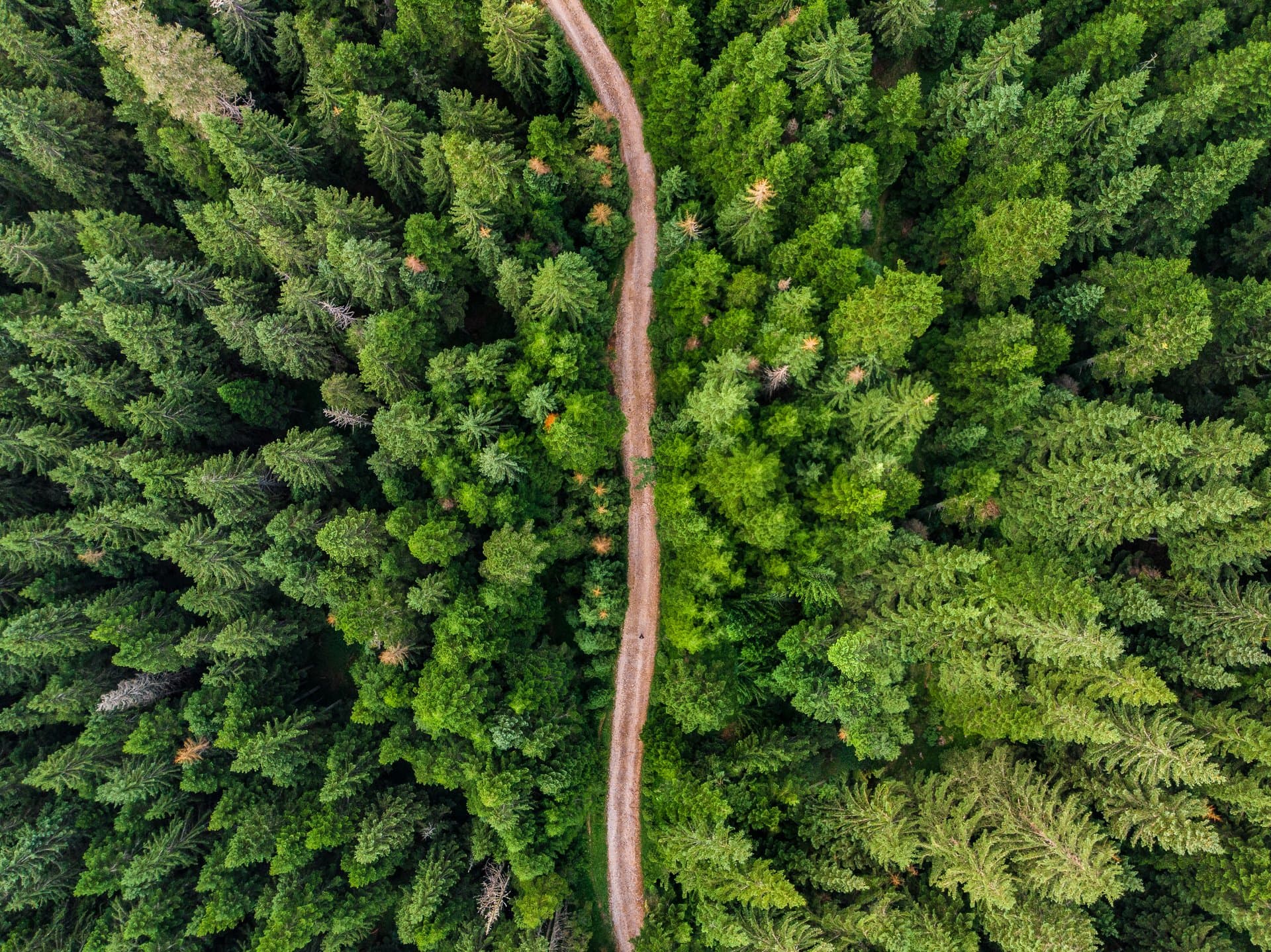 Sustainability