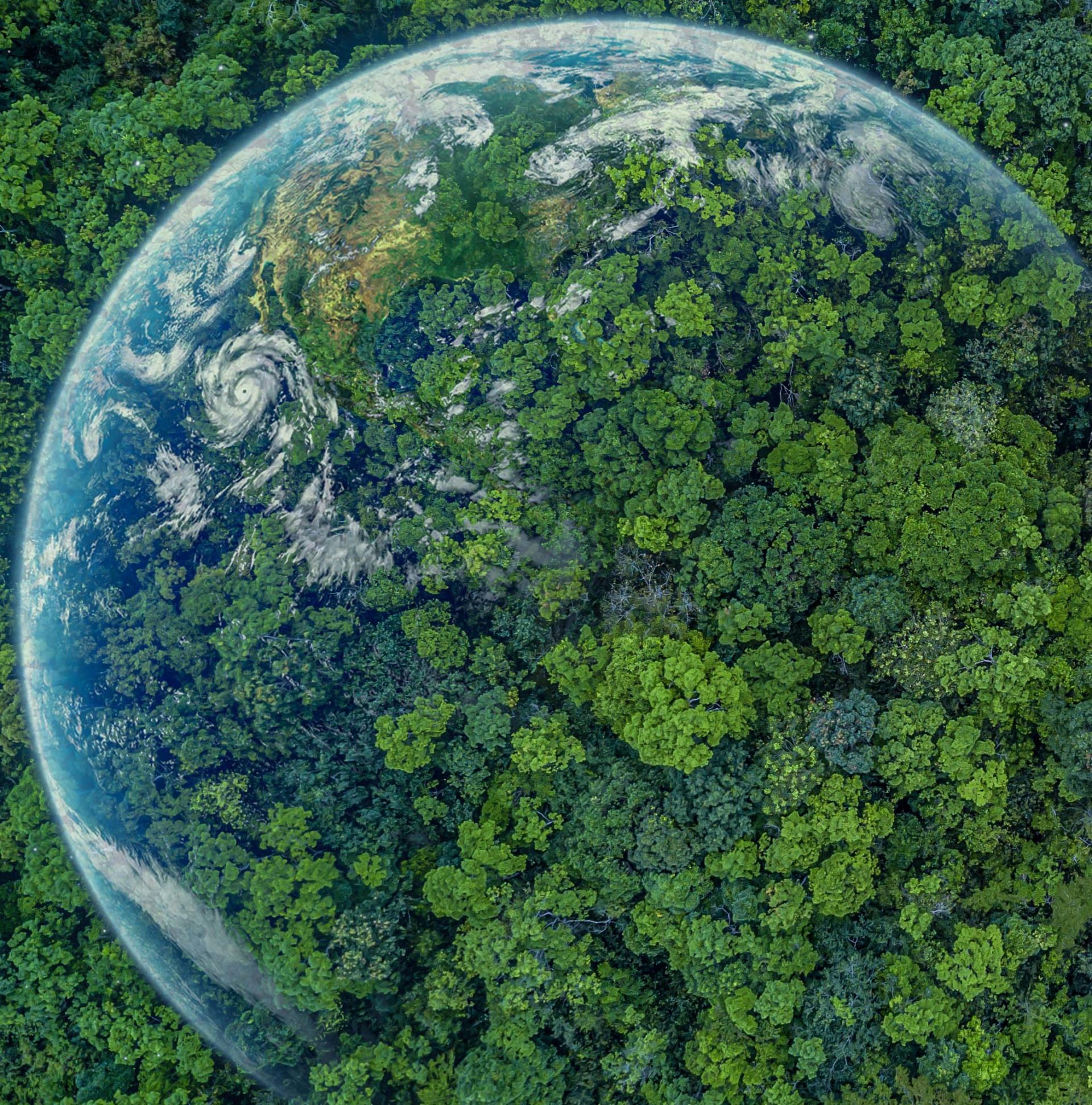 Image of earth filled with trees.